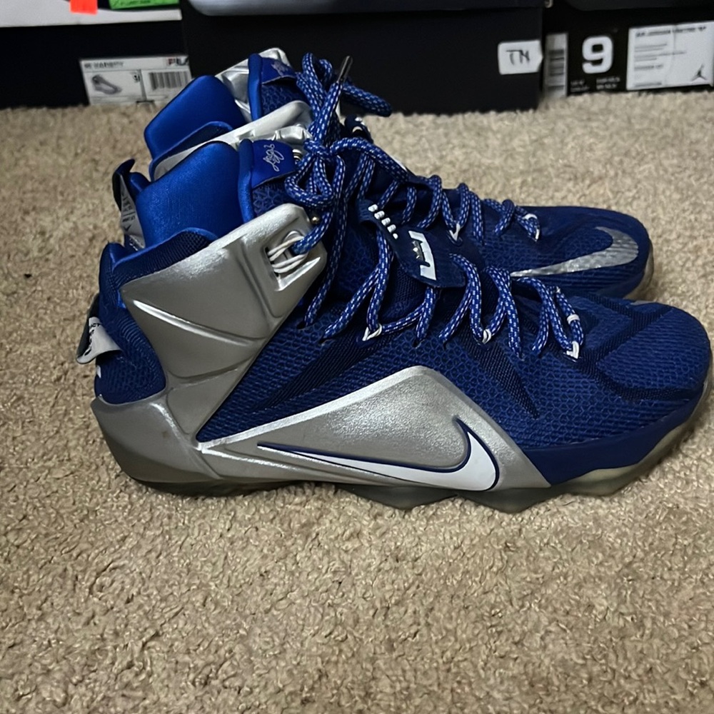 LEBRON XII